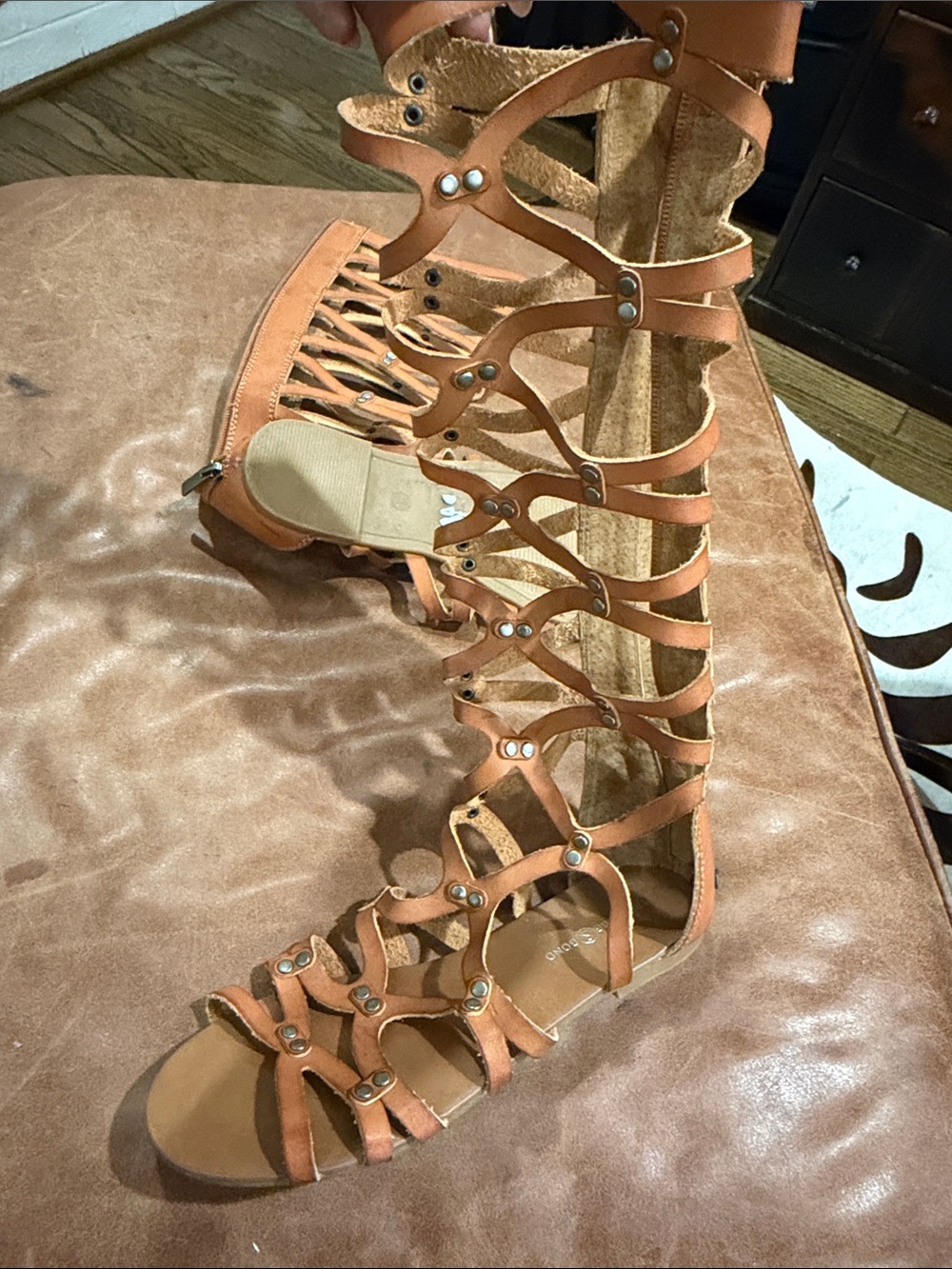 Treasure and bond Tan Gladiator Knee-High Sandals